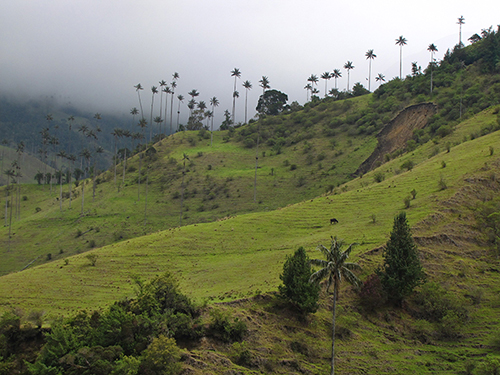 Valle de Cocura Colombia