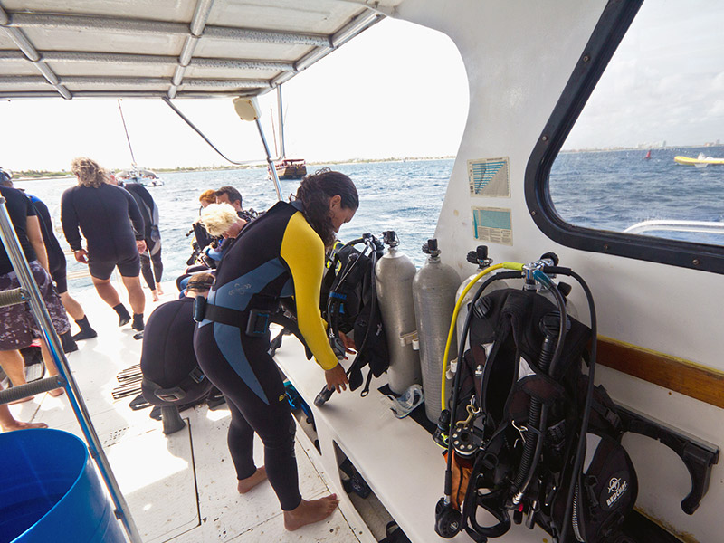 Insufficient credit card insurance coverage for skiing and scuba diving