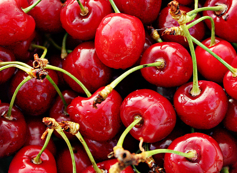 picking fruit in Okanagan