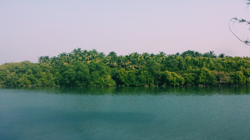 L'estuaire d'eau douce derrière la plage de Galgibaga, à Goa, en Inde