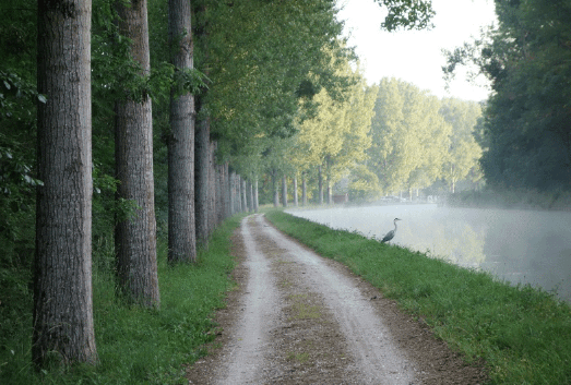 burgundy-canal_b