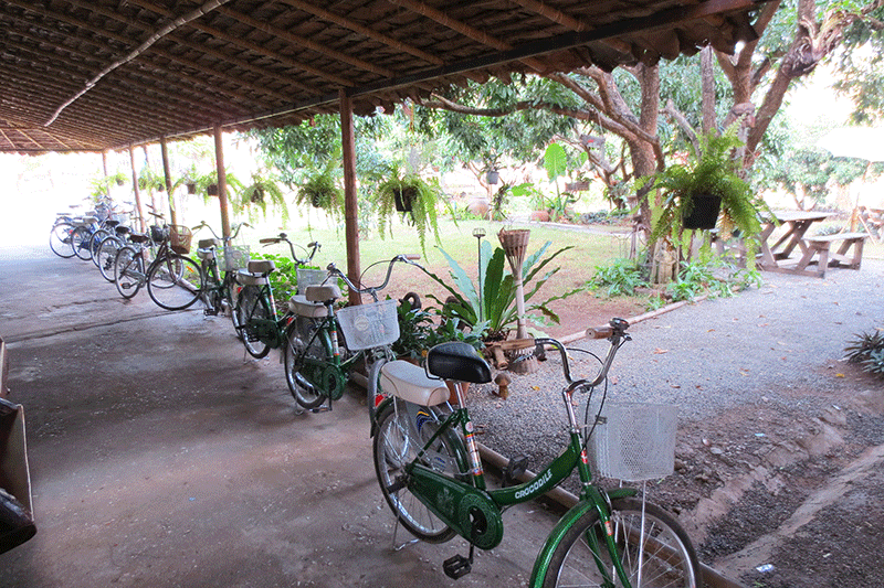 Photo of vintage bicycles waiting to be rented in Chiang Mai, Thailand.