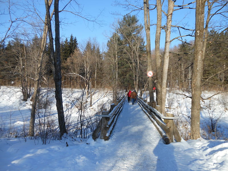 Small group hiking in Gatineau Park