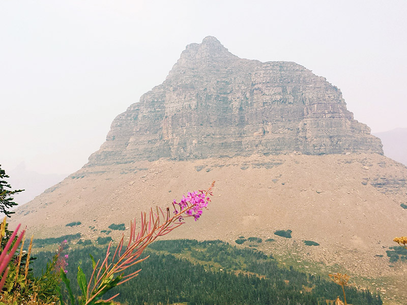 View of Logan Pass mountains from a distance.