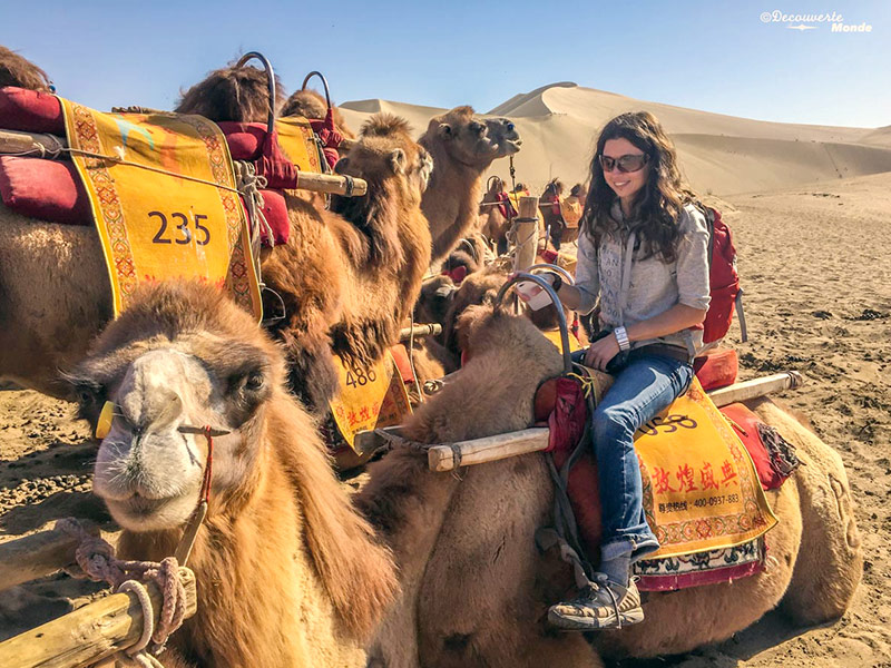 Canadian traveller on first camel ride on Silk Road of China