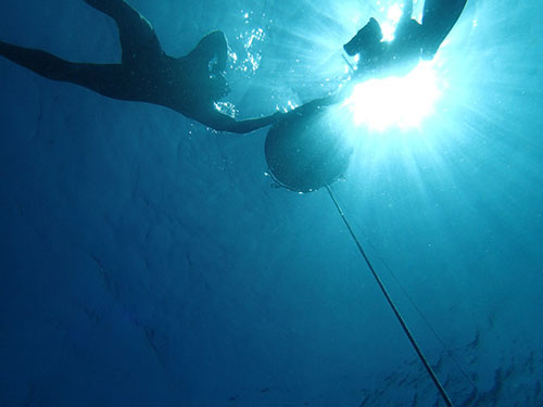 My instructor and I holding onto the buoy while Daniel free-dives below