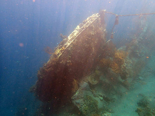 The Japanese Shipwreck