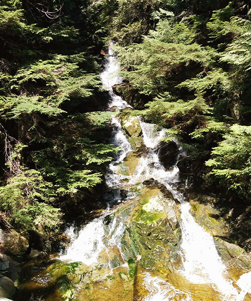 Les chutes d’eau peuvent être un allié contre la chaleur. Brother’s Creek, à West Vancouver BC