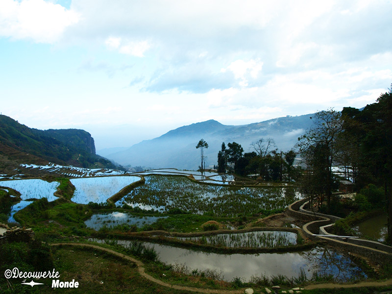 Rice terraces in Yuanyang, Yunnan, China