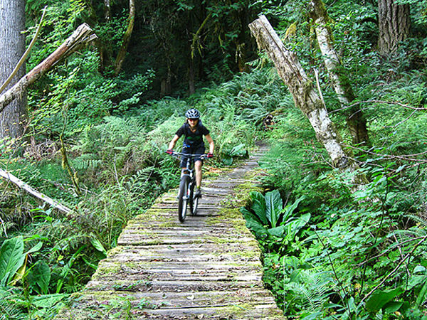 mountain biking in oregon cross country mountain biking in Oregon