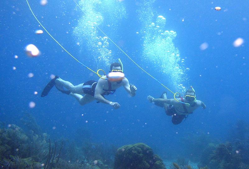 snuba travel insurance coverage for canadians
