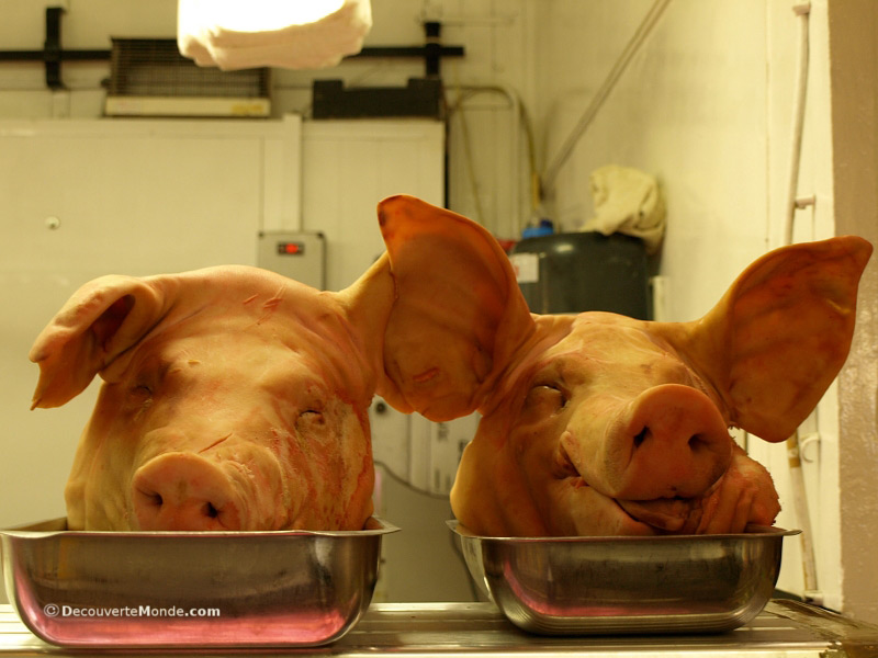 Pigs’ heads on display at a market in Cork, Irland. 