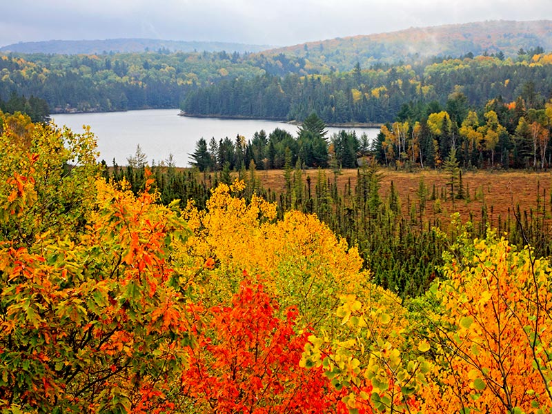 Couleurs de l’automne dans le Parc national Algonquin