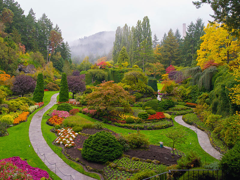 Couleurs de l’automne à Victoria