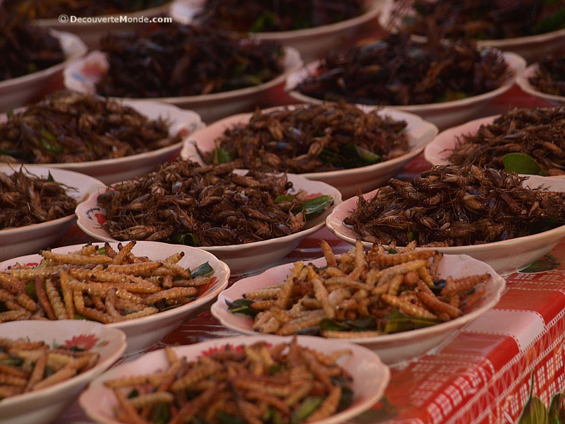 Fried insects at the Boat Racing Festival in Vientiane