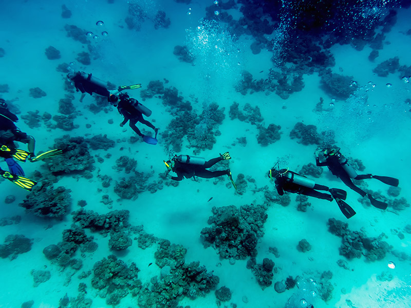 plongeurs au niveau du plancher océanique 