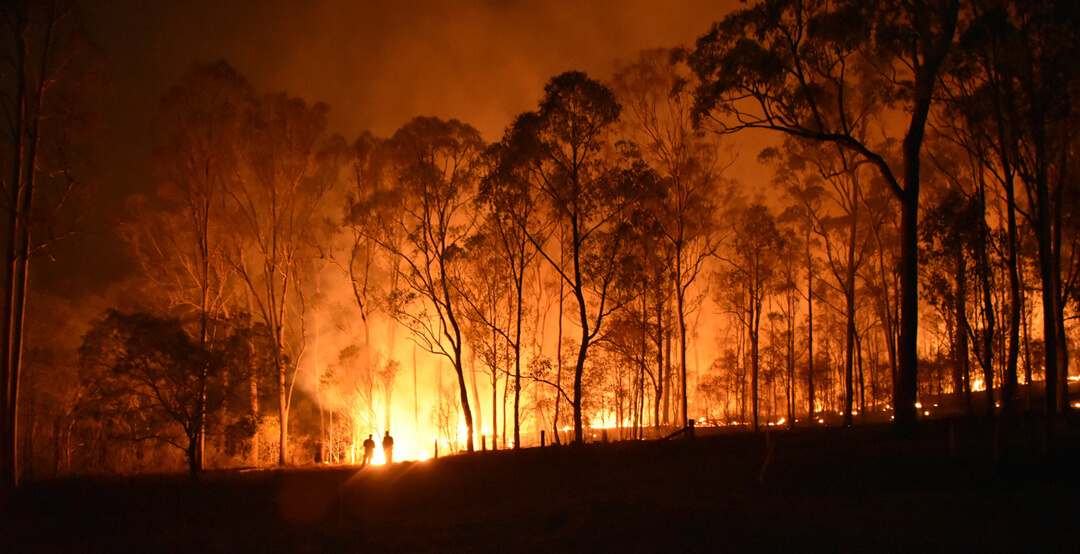 wildfires