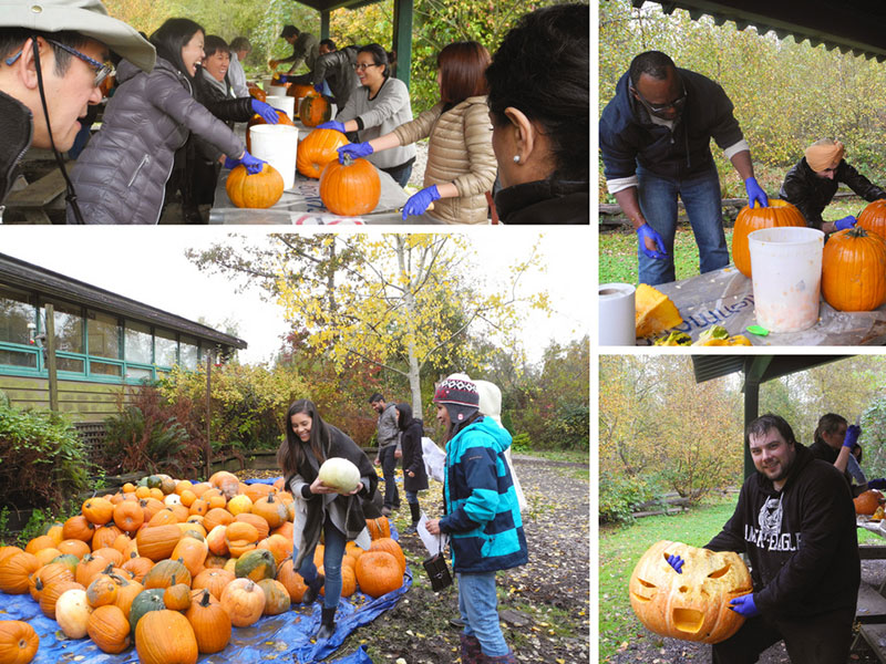 tugo volunteer wild things Richmond parks