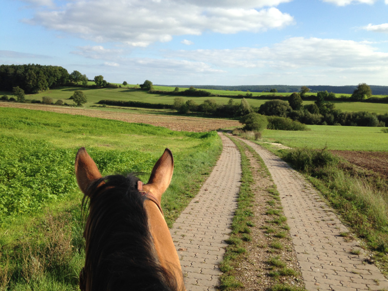 Sentier d’équitation en Allemagne avec l’assurance voyage TuGo 