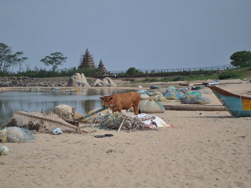 volontourisme au site unesco de mahabalipuram 