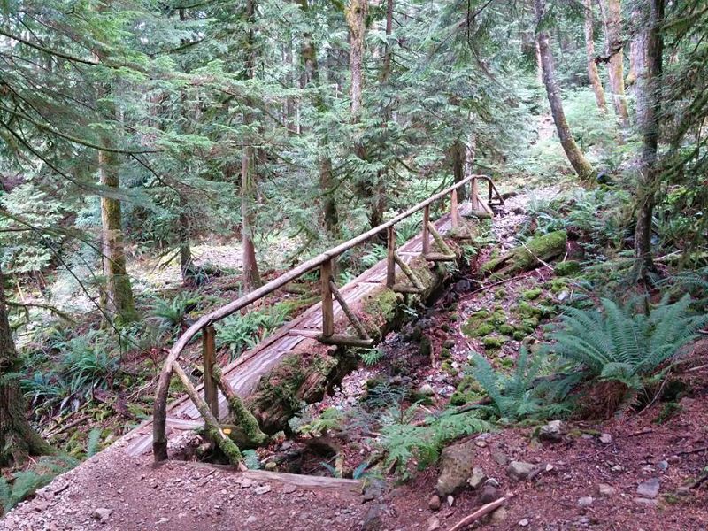 be careful on wet log bridges when hiking in the rain