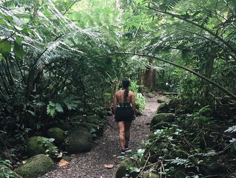 Une femme marchant sur le sentier des chutes d’eau de Manoa. 