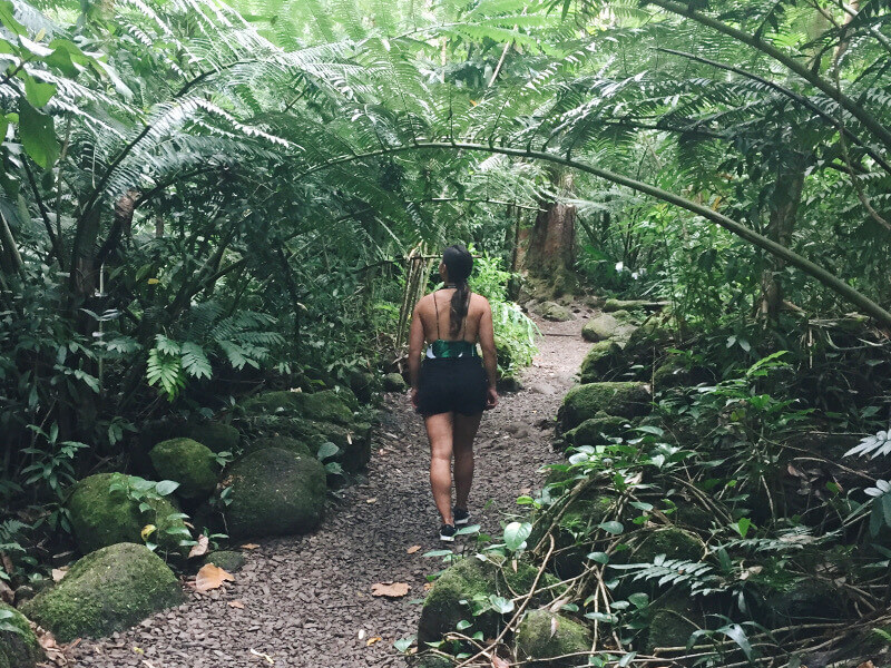 Make sure you wear proper shoes when doing a waterfall hike – some areas can be very muddy and slippery!