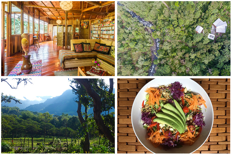 Ecuador raw food yoga hiking retreat