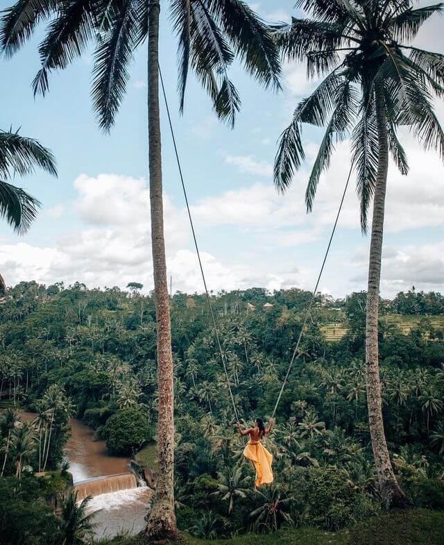 aire de la balancoire dans la foret tropical a bali indonesie