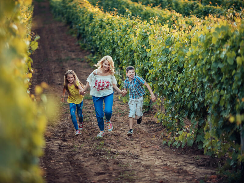 mother and two children walk through a vineyard