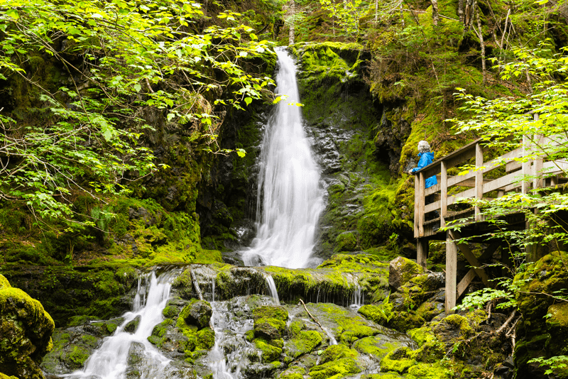 When not watching the high tides at Fundy National Park, families can hike through some lush forest paths.