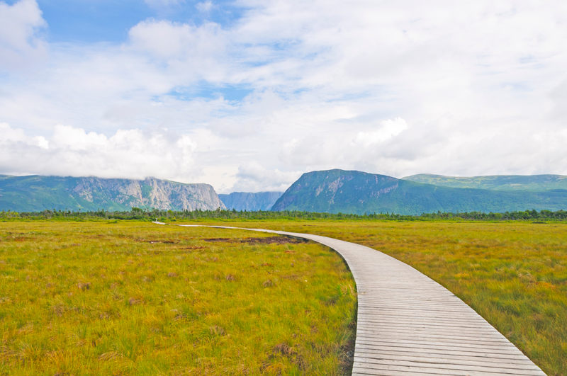 Bien qu’elles aient leur part de sentiers accidentés, certaines parties du parc national du Gros-Morne offrent des promenades invitantes qui sont parfaites pour les jeunes enfants et les adultes plus âgés.