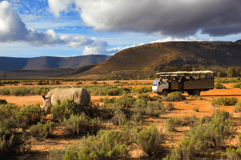 Enjoy the wonders of an African Safari seated comfortably in a tour vehicle