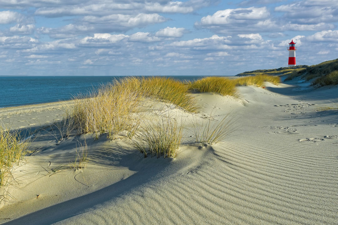 sylt