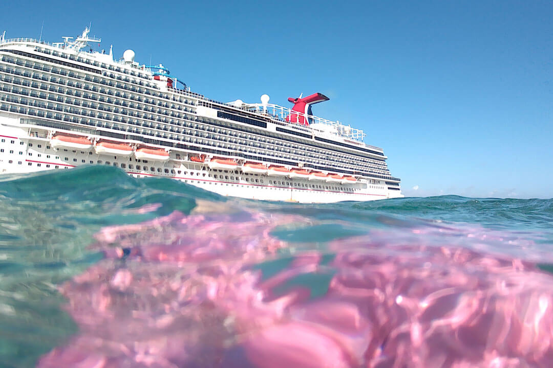 cruise-pink