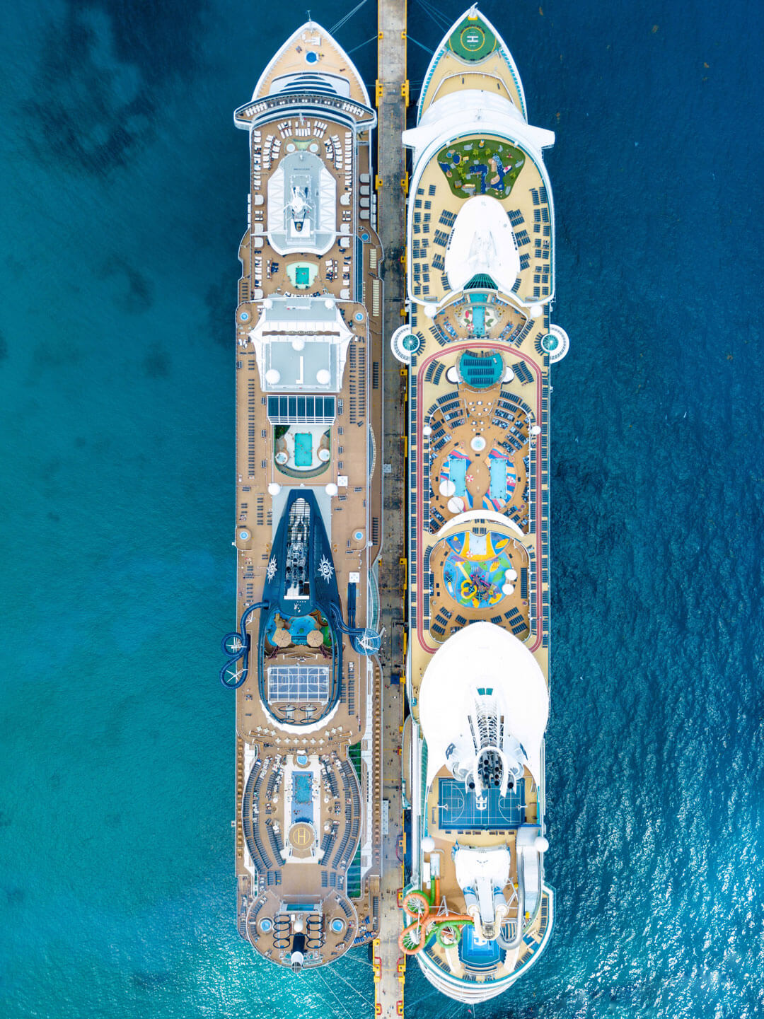 cruise-two