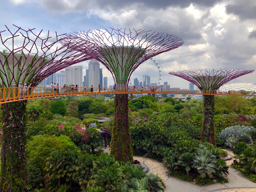 Supertrees, Singapore Solar-powered Supertrees, Singapore, by @jannerboy62, Unsplash.com