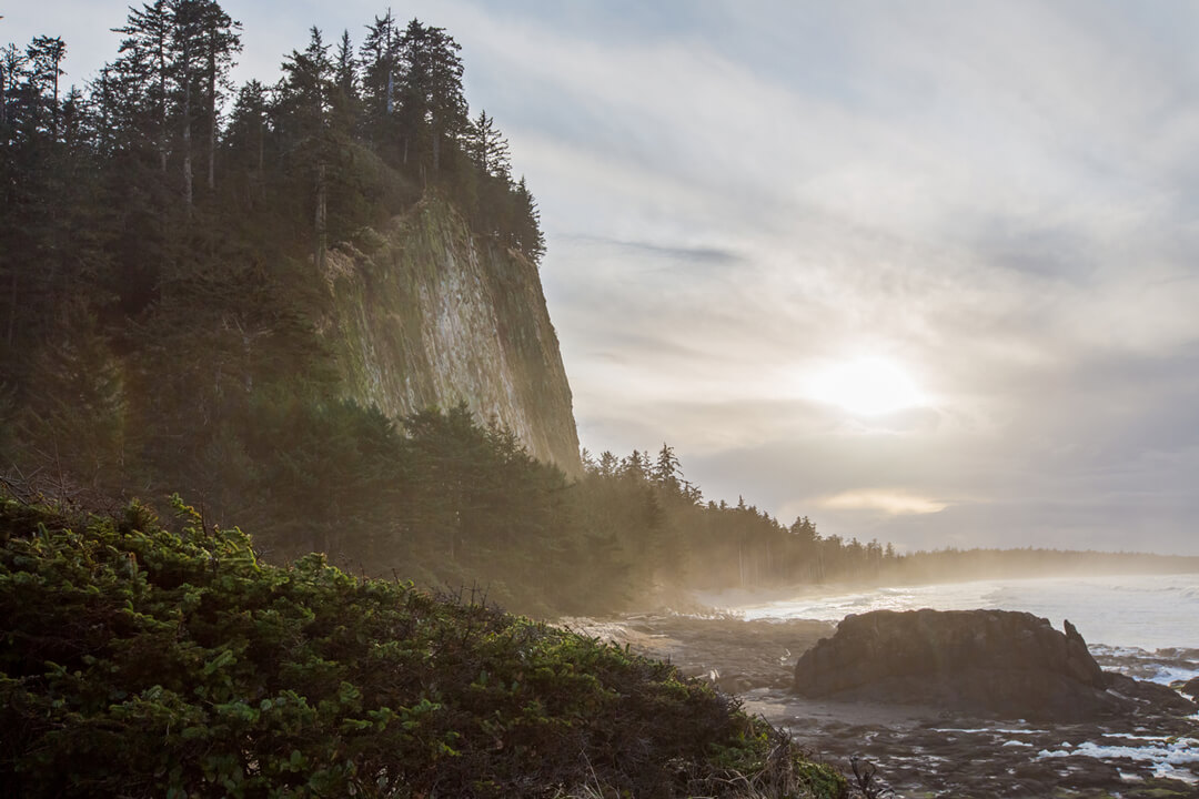 haida-gwaii-shore